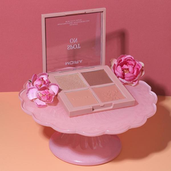 PALETA FACIAL