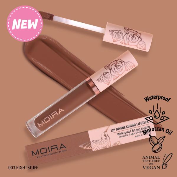 LABIAL LIQUIDO DIVINE MOIRA
